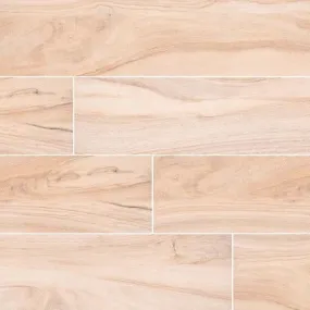 Aspenwood Porcelain Tile Collection Artic - 9"x48"